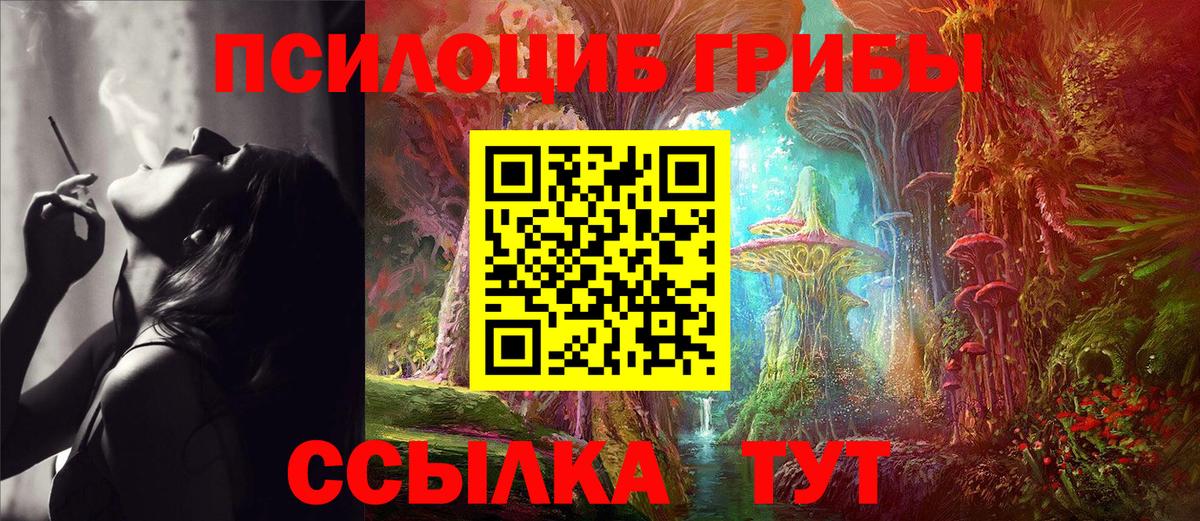 Псилоцибиновые грибы ЛСД Чайковский