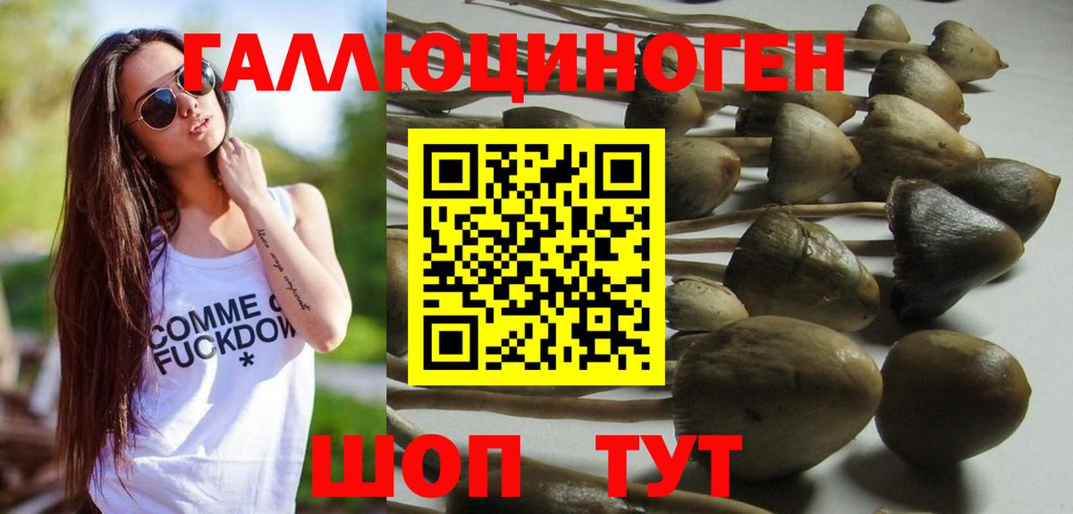 Чайковский  Псилоцибиновые грибы ЛСД  Вход с VPN 